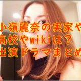 現在までの出演ドラマまとめ!