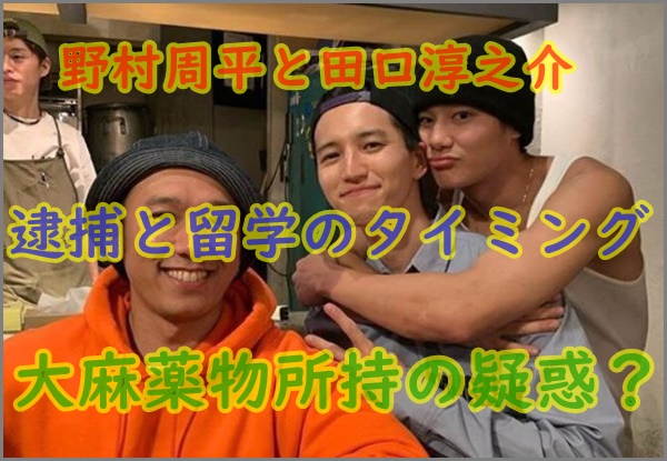 薬物 野村 周平