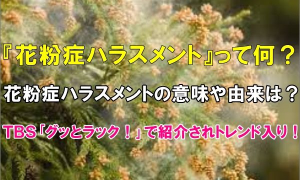 寺田由里絵 ゆりえ が結婚 夫大浦龍宇一との馴初めや現在の活動は R40 Headline