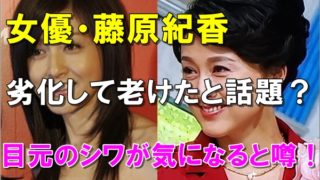比較画像 坂井真紀が劣化して老けた 若い頃はかわいかったのに R40 Headline
